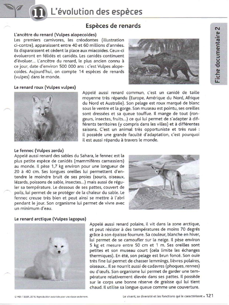 A 60 Dd 7 Ca 439 C 22 D 261 C 1 Pdf