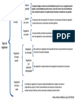 Cuadro Sinóptico de Los Tipos de Regulación