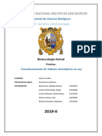 Túbulos Seminiferos 1 PDF