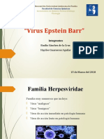 "Virus Epstein Barr": Emilio Sánchez de Lá Cruz Háydee Guárneros Aguilár