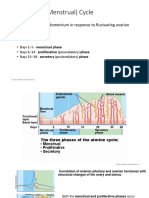 15 Uterine cycle.pdf