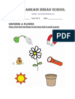Growing A Flower PDF