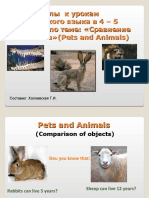 Материалы к урокам английского языка в 4 - 5 классах по теме: «Сравнение объектов» (Pets and Animals)