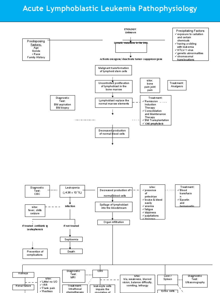 Acute Lymphoblastic Leukemia Pathophysiology | PDF | Leukemia ...