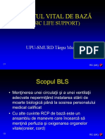 4 - RCP-BLS
