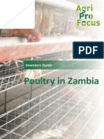 Poultry in Zambia: Investors Guide