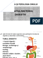 Anatomia Omului Aparatul Digestiv Prezentare