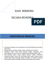 Identifikasi Mikroba Secara Biokimia