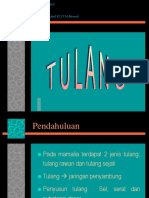 jaringan tulang.pdf