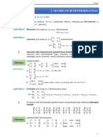 2.2T Determinantai PDF