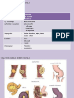 Oculzii Intestinale PDF