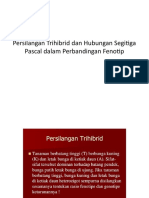 Persilangan Trihibrid Dan Hubungan Segitiga Pascal Dalam Perbandingan