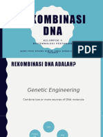 Rekombinasi DNA: Kelompok 4 Bioteknologi Pertanian