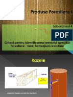 Lab 4-Raze Si Formatiuni Rezinifere