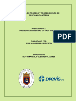 Manual de procesos PREVIS IPS