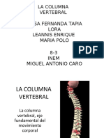 4 - Huesos Columna Vertebral