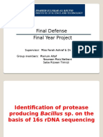 Final Defense Final Year Project