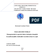 Rezumat_teza_de_doctorat_Viorica_Leordean.pdf