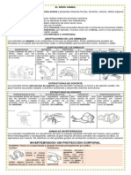 DOCUMENTO CUARTO (1).pdf
