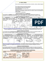 DOCUMENTO CUARTO INVERTEBRADOS (1).pdf