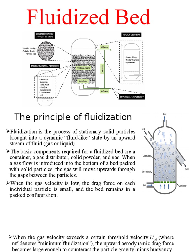 Fluidised Bed Reactor Fluidization Gases Fluidised Bed Reactor Fluidization Gases