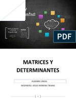 Matrices y determinantes: resolución de sistemas de ecuaciones