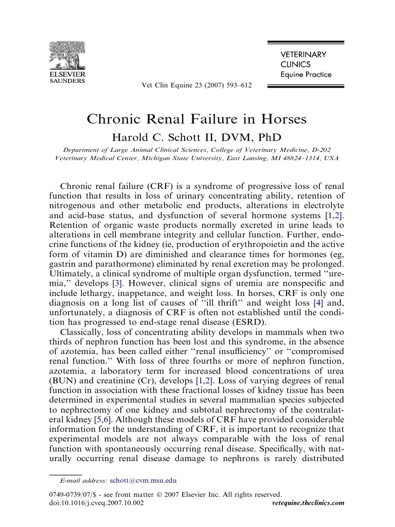 Chronic Renal Failure in Horses PDF PDF Chronic Kidney Disease