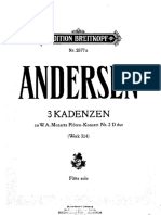 IMSLP18414-Andersen_3_Cadenzas_Mozart_Flute_Concerto_2.pdf