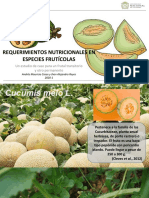 2 Seminario Requerimientos Nutricionales PDF