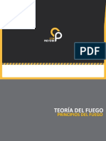 CP-Teoria Del Fuego-Principios Del Fuego