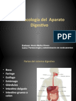 13ªclase  Enfermaría