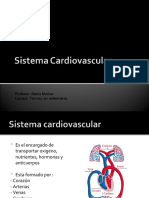 clase sistema cardiovascular