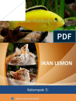 Ikan Lemon XI MIPA 1 Kel 5