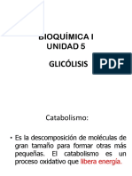 Gluclisis 130313202328 Phpapp01 PDF