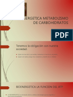 Bioenergetica 160210233256 PDF