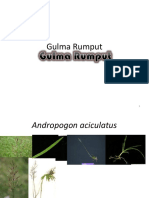 Gulma Rumput.1 PDF