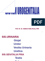 Sistem Urogenital Reguler PDF