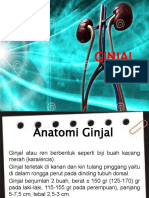 6. Anatomi Ginjal.pptx