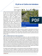 El pH en el Cultivo de Arandano.pdf