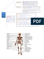 Cuadro Sinoptico S Oseo PDF