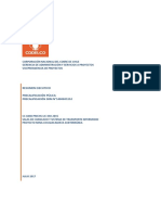 cc24b_resumen_ejecutivo_codelco.pdf