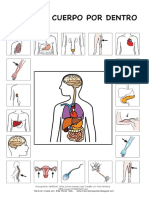 El_cuerpo_humano.pdf