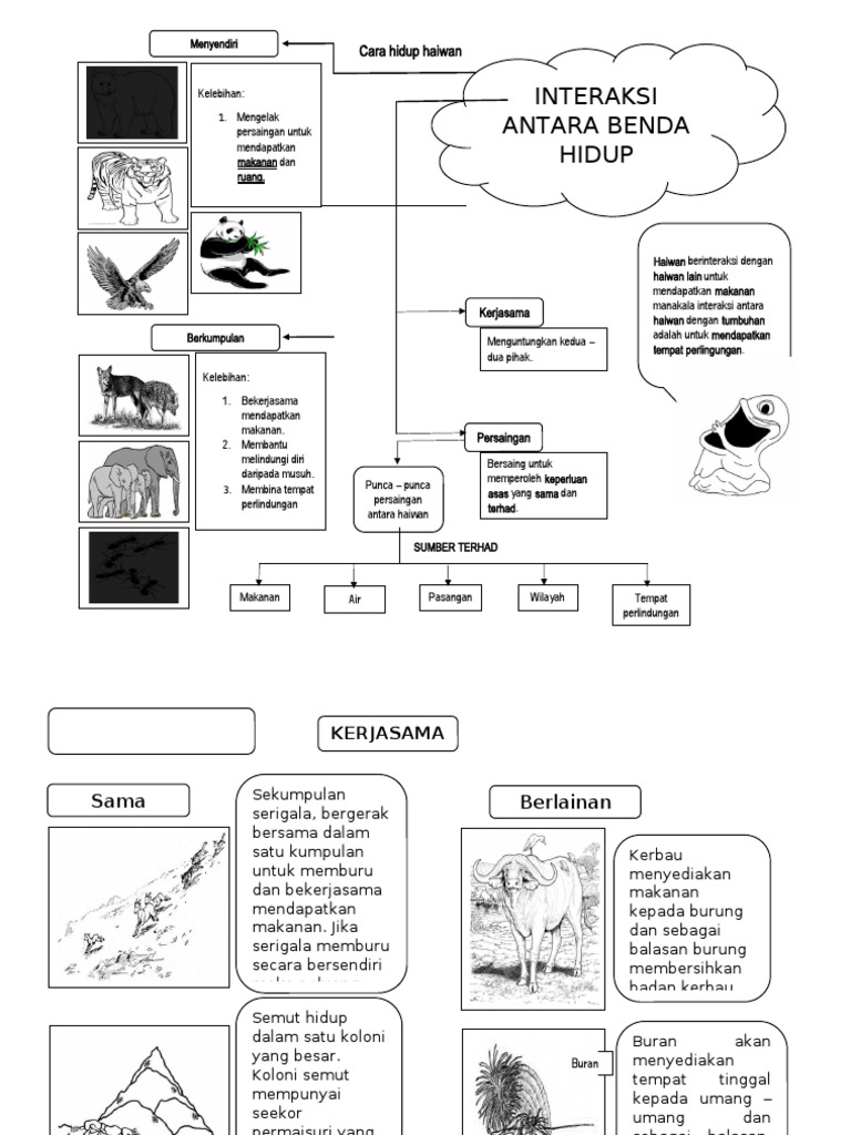 Peta Minda Thn 6 Interaksi Pdf