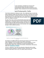 Prokaryotic and Eukaryotic Cells: Endoplasmic Reticulum
