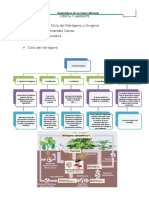 Teoria y Tarea, Ciclo Nitrogeno y Oxigeno