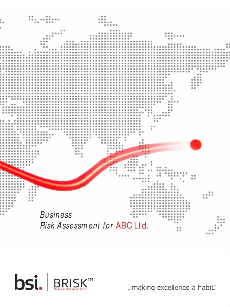 ABC Ltd. BRISK Risk Assessment Report | PDF | Risk | Risk Management