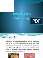 Atresia Ani & Hirscprung