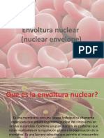 Membrana Nuclear