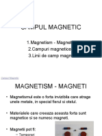 Campul Magnetic