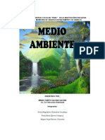 PROYECTO MEDIO AMBIENTE- Emanuel CP.docx